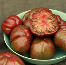 Томат Беркли Тай Дай Пинк - ООО «Семена Тут»