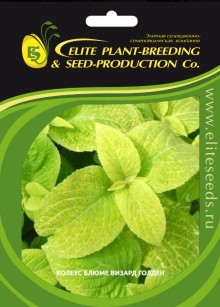 img-1: Колеус Визард Голден [70 шт] - ООО «Семена Тут»