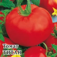 img-1: Томат Титан - ООО «Семена Тут»