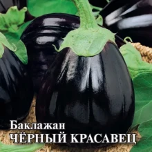 Баклажан Черный красавец - ООО «Семена Тут»