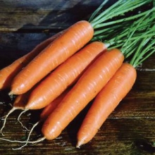 Морковь Ромоса - Семена Тут