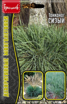 img-1: Тонконог Сизый [5 х 0,01 гр] - ООО «Семена Тут»