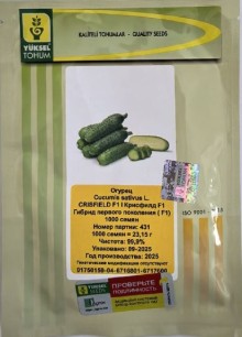 img-1: Огурец Крисфильд F1 - ООО «Семена Тут»
