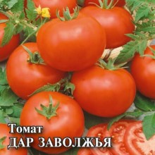 img-1: Томат Дар Заволжья - ООО «Семена Тут»