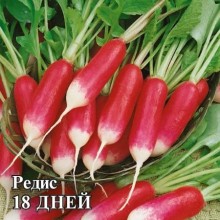img-1: Редис 18 дней - ООО «Семена Тут»