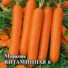 Морковь Витаминная 6 - ООО «Семена Тут»
