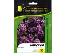 img-1: Алиссум Эстер Бонет Виолет [50 шт] - ООО «Семена Тут»