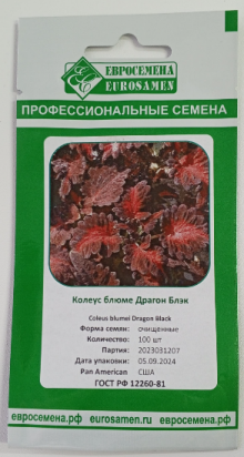 img-1: Колеус Драгон Блэк [100 шт] - ООО «Семена Тут»