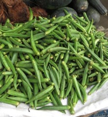 Бамия Бомбей - ООО «Семена Тут»