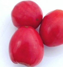 img-1: Томат Буденовка - ООО «Семена Тут»