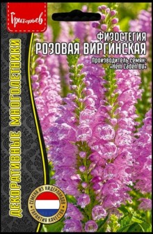 img-1: Физостегия розовая [5*0,05 гр] - ООО «Семена Тут»