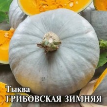 Тыква крупноплодная Грибовская зимняя - ООО «Семена Тут»