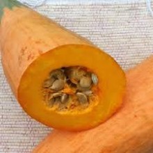 img-1: Тыква Розовый Банан - ООО «Семена Тут»