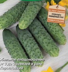Огурец Жар Птица (инкруст.семена) - ООО «Семена Тут»