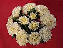 img-1: Астра Классик Еллоу [3 гр] - ООО «Семена Тут»