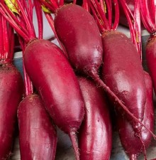 img-1: Свекла столовая Командор - ООО «Семена Тут»