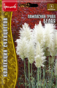 img-1: Пампасная трава (Кортадерия) Белая [5 х 0,01 гр] - ООО «Семена Тут»