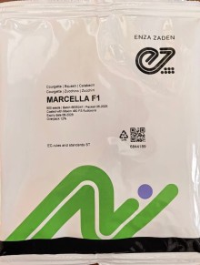 img-2: Кабачок Марселла F1 - ООО «Семена Тут»