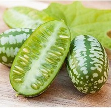 Мелотрия (мышинная дыня) Полосатик - ООО «Семена Тут»