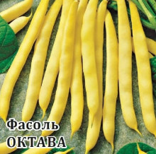 Фасоль Октава - ООО «Семена Тут»