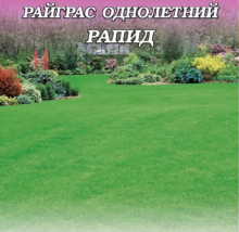 Райграс однолетний Рапид - ООО «Семена Тут»