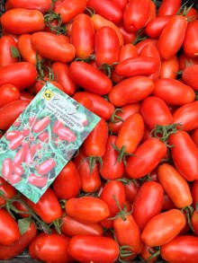 img-1: Томат Черри Уникум F1 - ООО «Семена Тут»