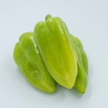 Перец Топгир F1 - ООО «Семена Тут»