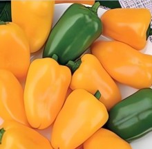Перец сладкий Золотой букет - ООО «Семена Тут»