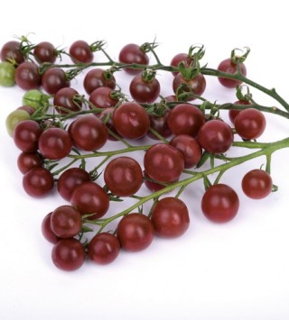 Томат Темрюк F1 (инкруст. семена) - ООО «Семена Тут»