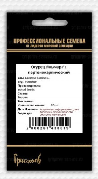 img-1: Огурец Янычар F1 - ООО «Семена Тут»