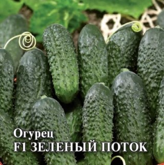img-1: Огурец Зеленый поток F1 - ООО «Семена Тут»